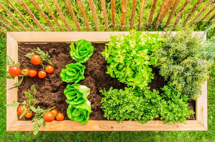 WESTMANN Hochbeet Klassik